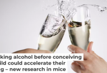 When the mom, dad or both parents drink, the health risks of alcohol extends to their future offspring. Robert Daly/OJO Images via Getty Images
